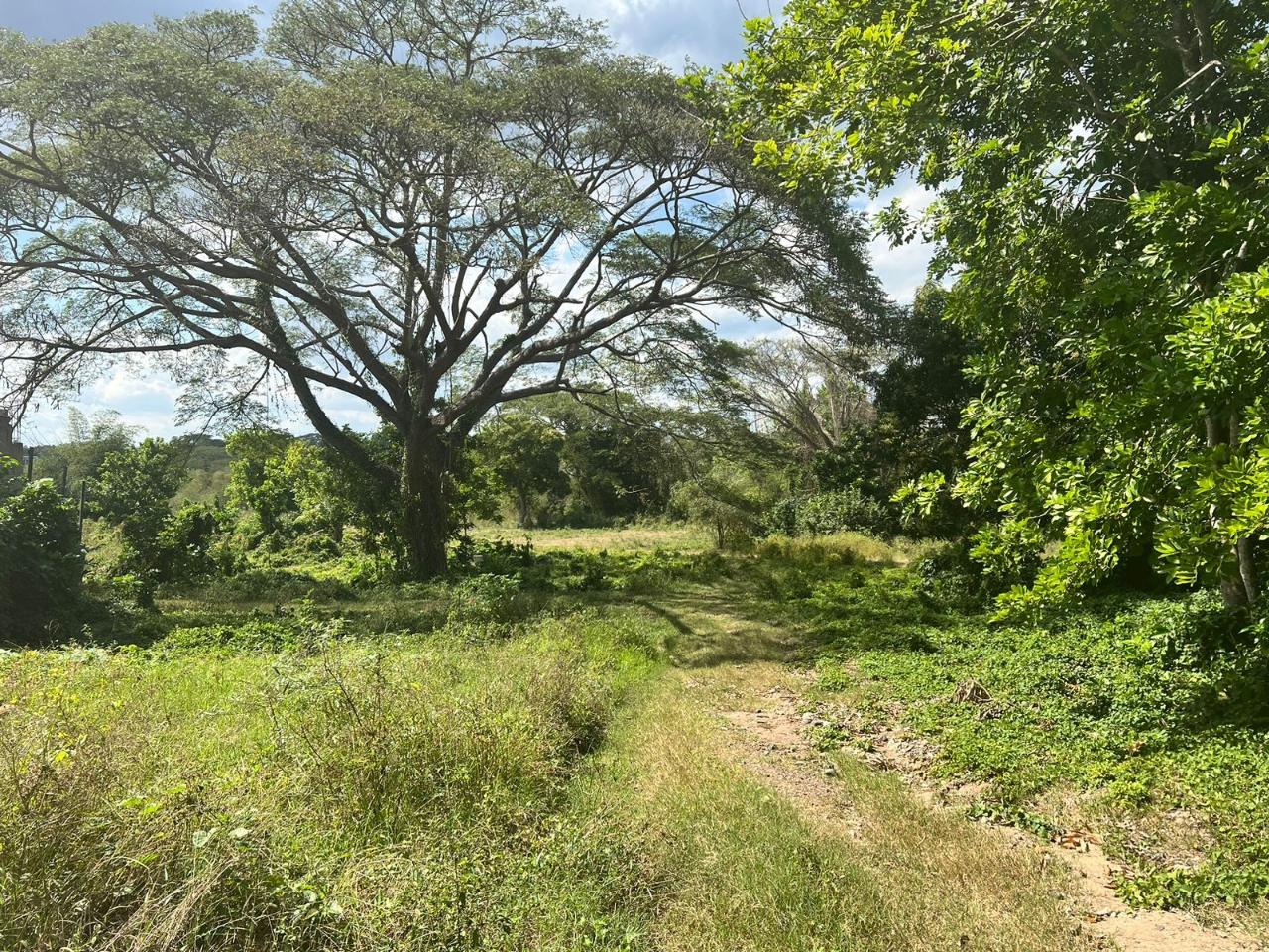 Seventh image of Juno Cresecent in May Pen, Clarendon, Jamaica - property is For Sale