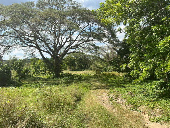 Seventh image of Juno Cresecent in May Pen, Clarendon, Jamaica - property is For Sale