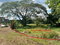 First image of Juno Cresecent in May Pen, Clarendon, Jamaica - property is For Sale