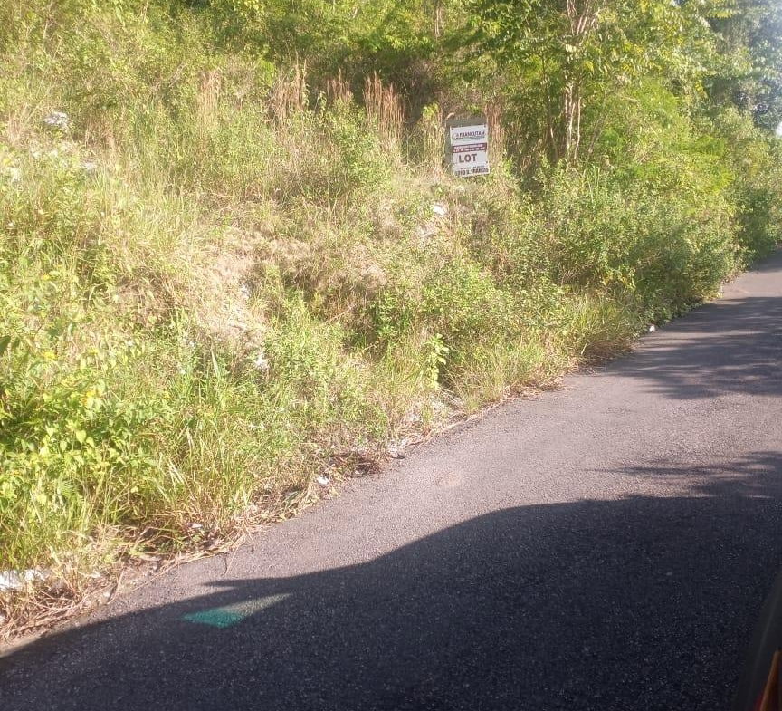 Second image of Ballyinure Harry Watch m in Ballynure, Manchester, Jamaica - property is For Sale