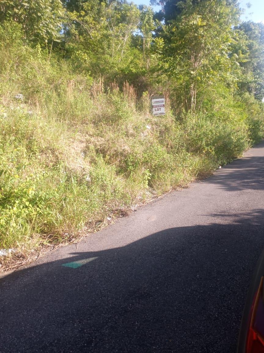 Second image of Ballyinure Harry Watch m in Ballynure, Manchester, Jamaica - property is For Sale