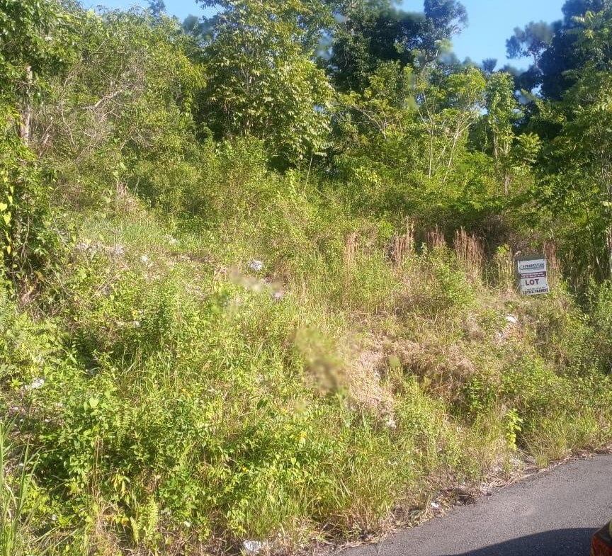 Fourth image of Ballyinure Harry Watch m in Ballynure, Manchester, Jamaica - property is For Sale