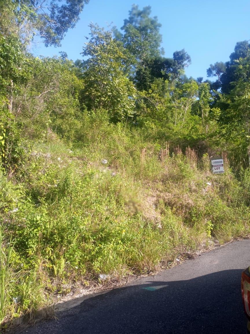 Fourth image of Ballyinure Harry Watch m in Ballynure, Manchester, Jamaica - property is For Sale