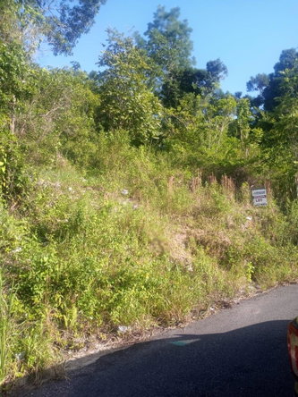 Fourth image of Ballyinure Harry Watch m in Ballynure, Manchester, Jamaica - property is For Sale
