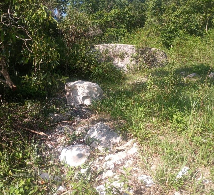 Fifth image of Ballyinure Harry Watch m in Ballynure, Manchester, Jamaica - property is For Sale