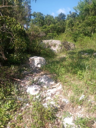 Sixth image of Ballyinure Harry Watch m in Ballynure, Manchester, Jamaica - property is For Sale