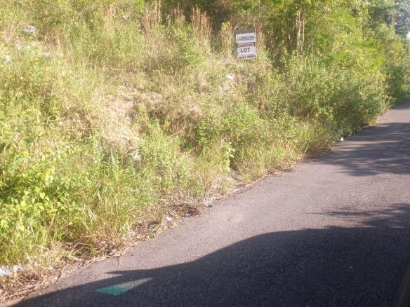 First image of Ballyinure Harry Watch m in Ballynure, Manchester, Jamaica - property is For Sale