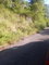 First image of Ballyinure Harry Watch m in Ballynure, Manchester, Jamaica - property is For Sale