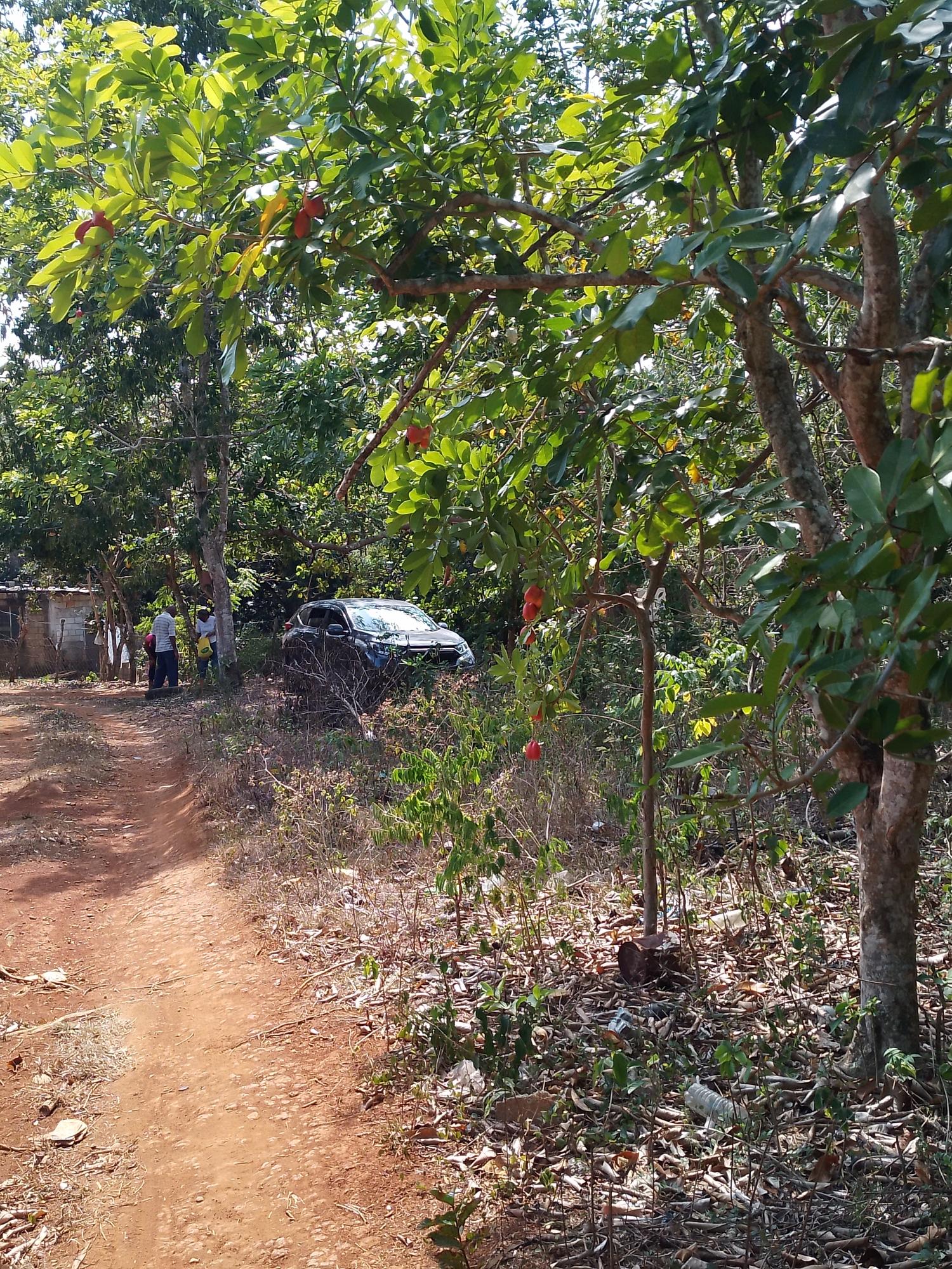 Fourteenth image of Lot 1 Simon, Bamboo District. in Simons, St. Catherine, Jamaica - property is For Sale