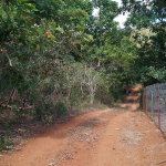 First image of Lot 1 Simon, Bamboo District. in Simons, St. Catherine, Jamaica - property is For Sale