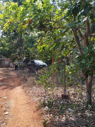 Twentieth image of Lot 1 Simon, Bamboo District. in Simons, St. Catherine, Jamaica - property is For Sale