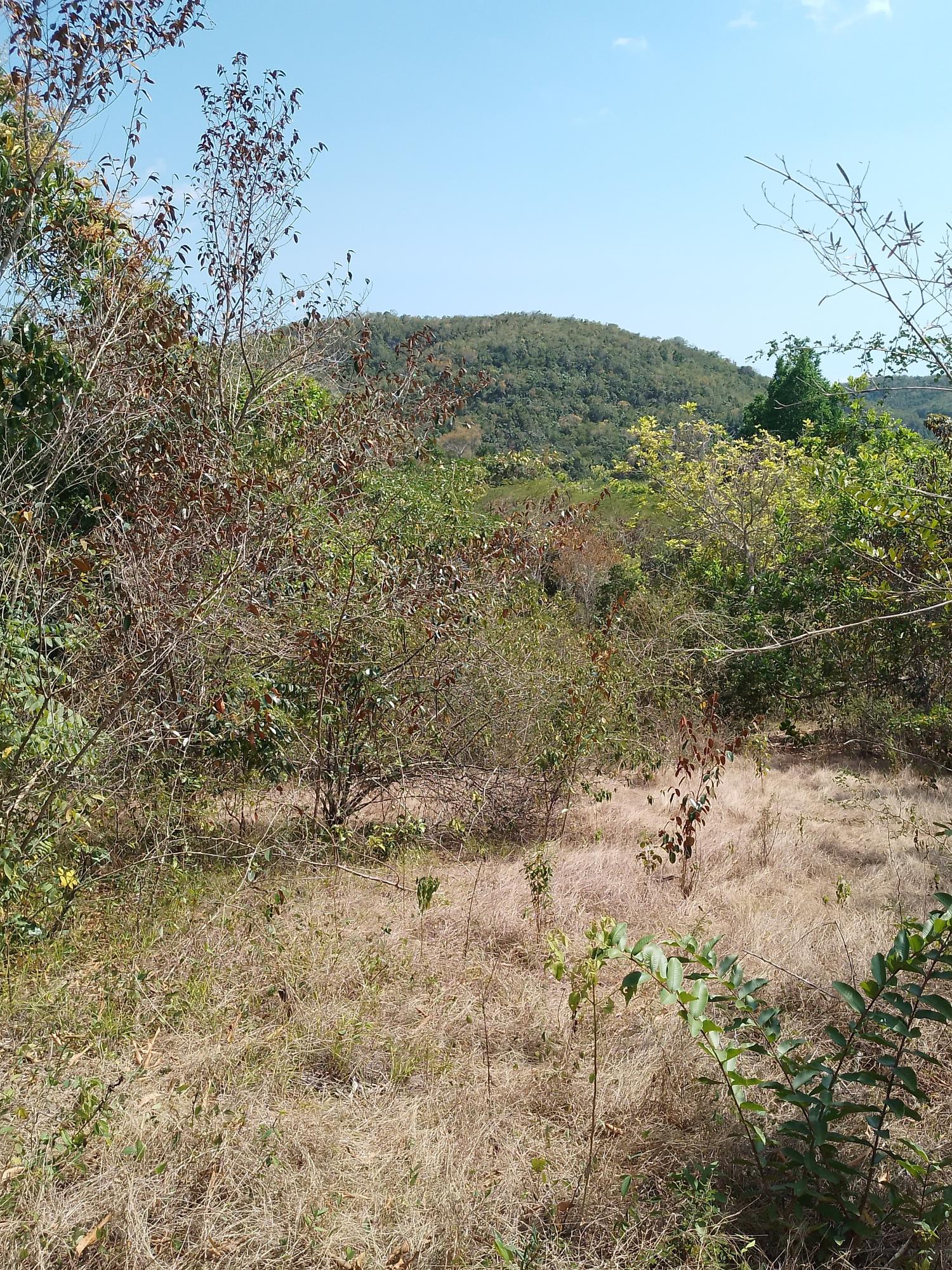 Fifth image of Lot 1 Simon, Bamboo District. in Simons, St. Catherine, Jamaica - property is For Sale