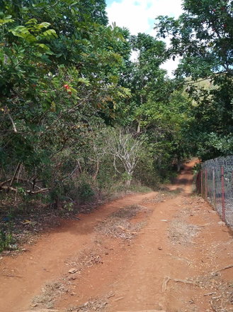 First image of Lot 1 Simon, Bamboo District. in Simons, St. Catherine, Jamaica - property is For Sale
