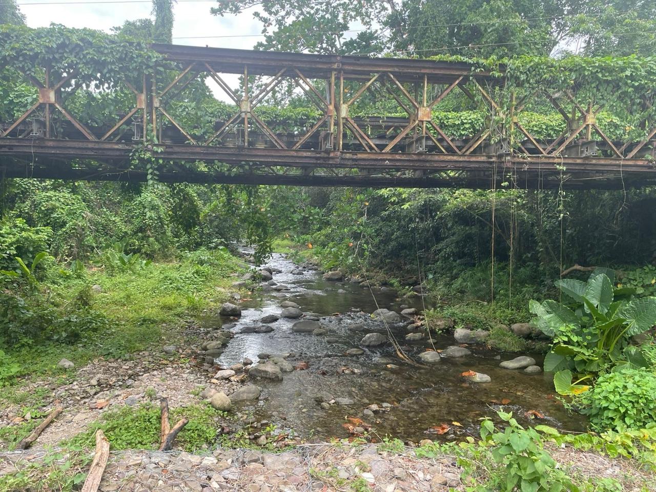 Third image of 24 Fort George in Camberwell, St. Mary, Jamaica - property is For Sale