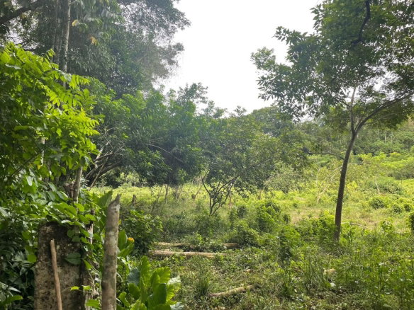 First image of 24 Fort George in Camberwell, St. Mary, Jamaica - property is For Sale