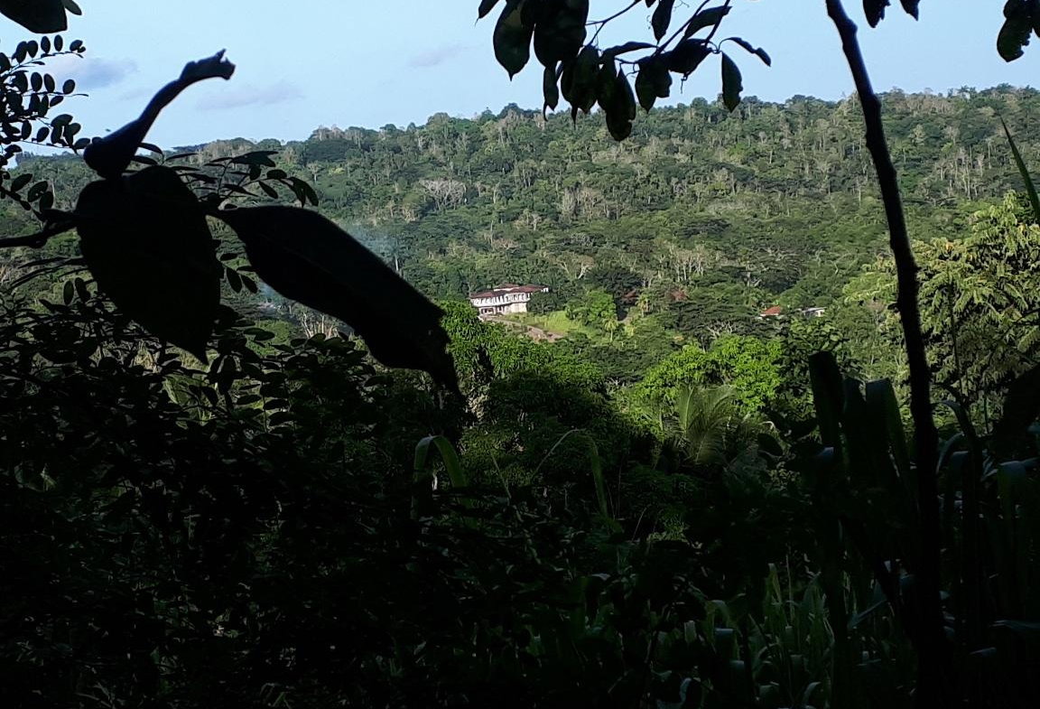 Second image of Lot # 153- Whitehall in Port Maria, St. Mary, Jamaica - property is For Sale