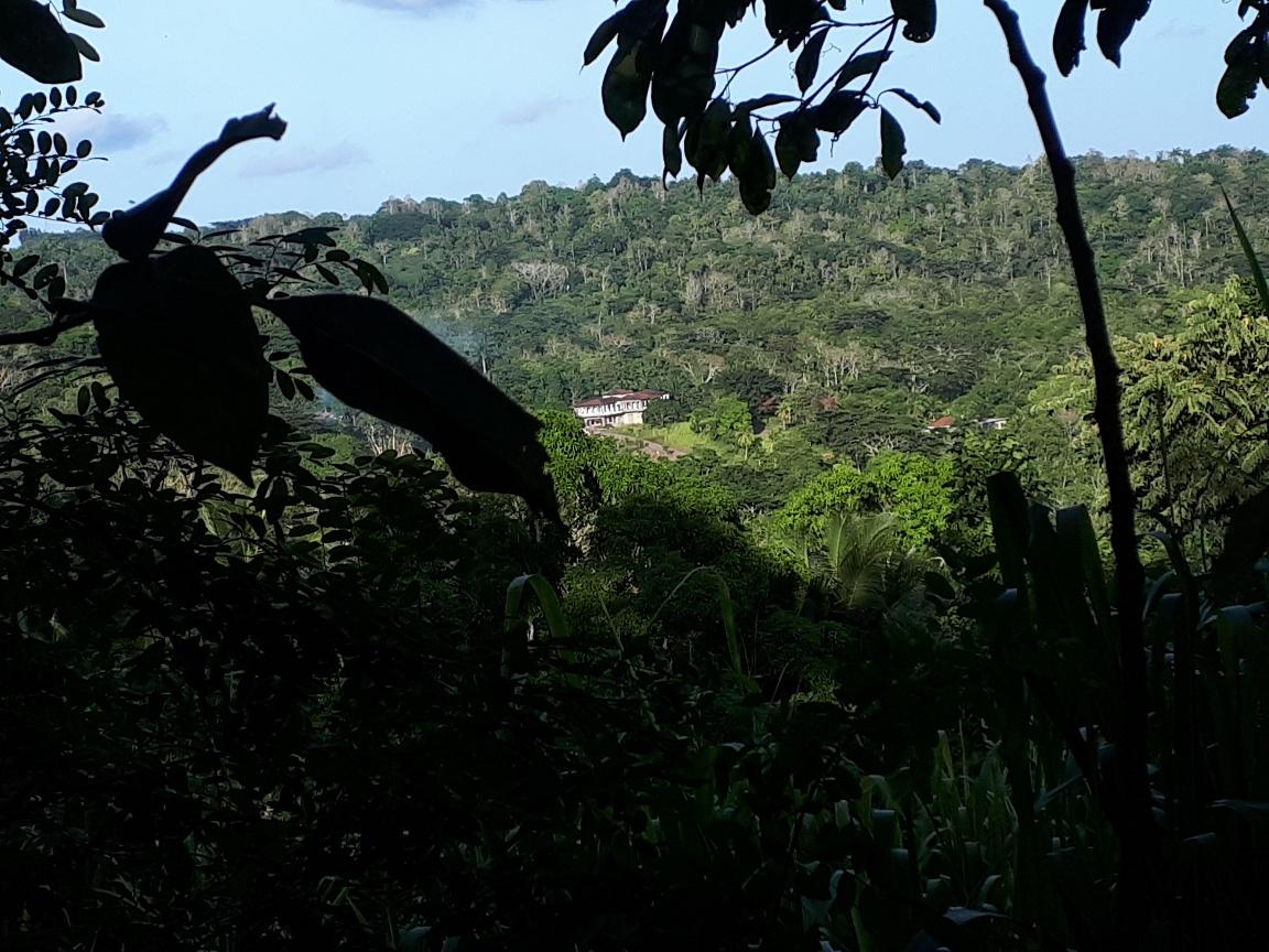 9.8-Acres-Residential-Development-Land-for-Sale-in-St.-Mary-Jamaica Second image of Lot # 153- Whitehall in Port Maria, St. Mary, Jamaica - property is For Sale