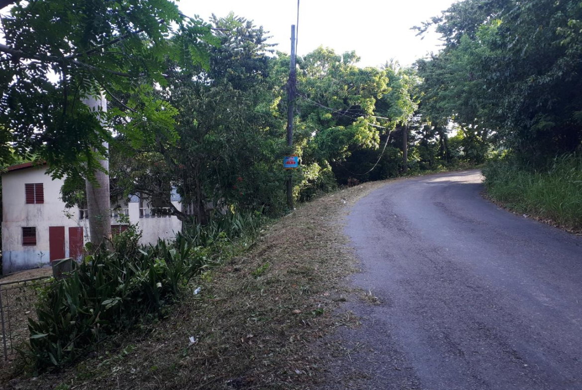 Third image of Lot # 153- Whitehall in Port Maria, St. Mary, Jamaica - property is For Sale