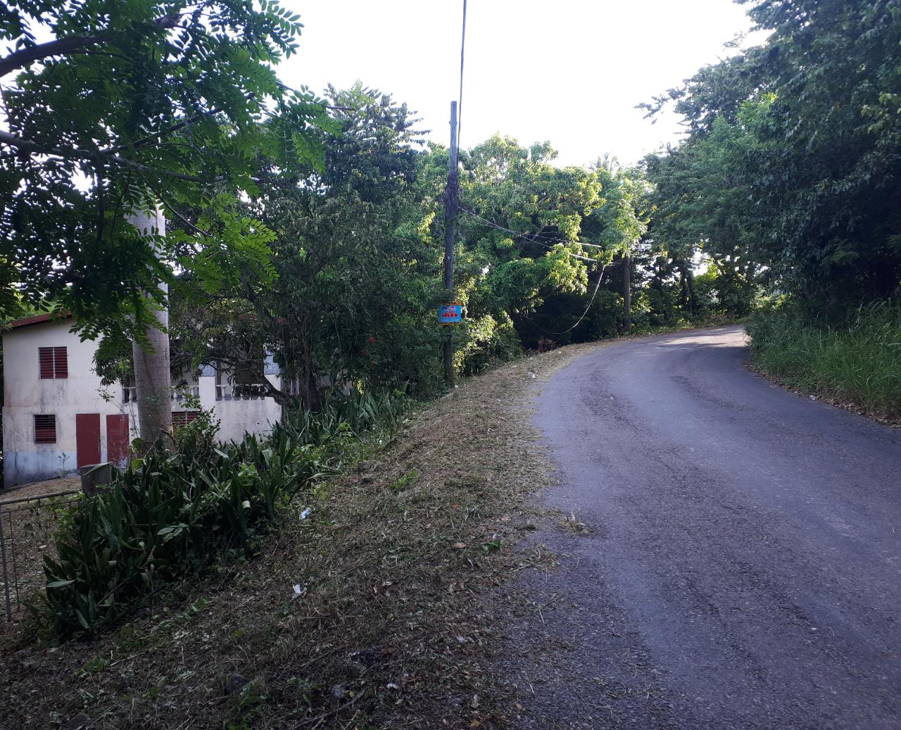 9.8-Acres-Residential-Development-Land-for-Sale-in-St.-Mary-Jamaica Third image of Lot # 153- Whitehall in Port Maria, St. Mary, Jamaica - property is For Sale