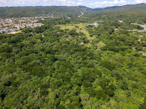 Twelfth image of Part of Angels Pen in Angels, St. Catherine, Jamaica - property is For Sale