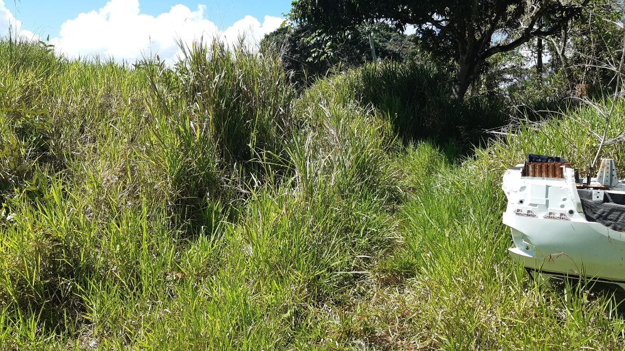 Second image of Land Part of Mary's Vale in Blackstonedge, St. Ann, Jamaica - property is For Sale