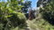 First image of Land Part of Mary's Vale in Blackstonedge, St. Ann, Jamaica - property is For Sale