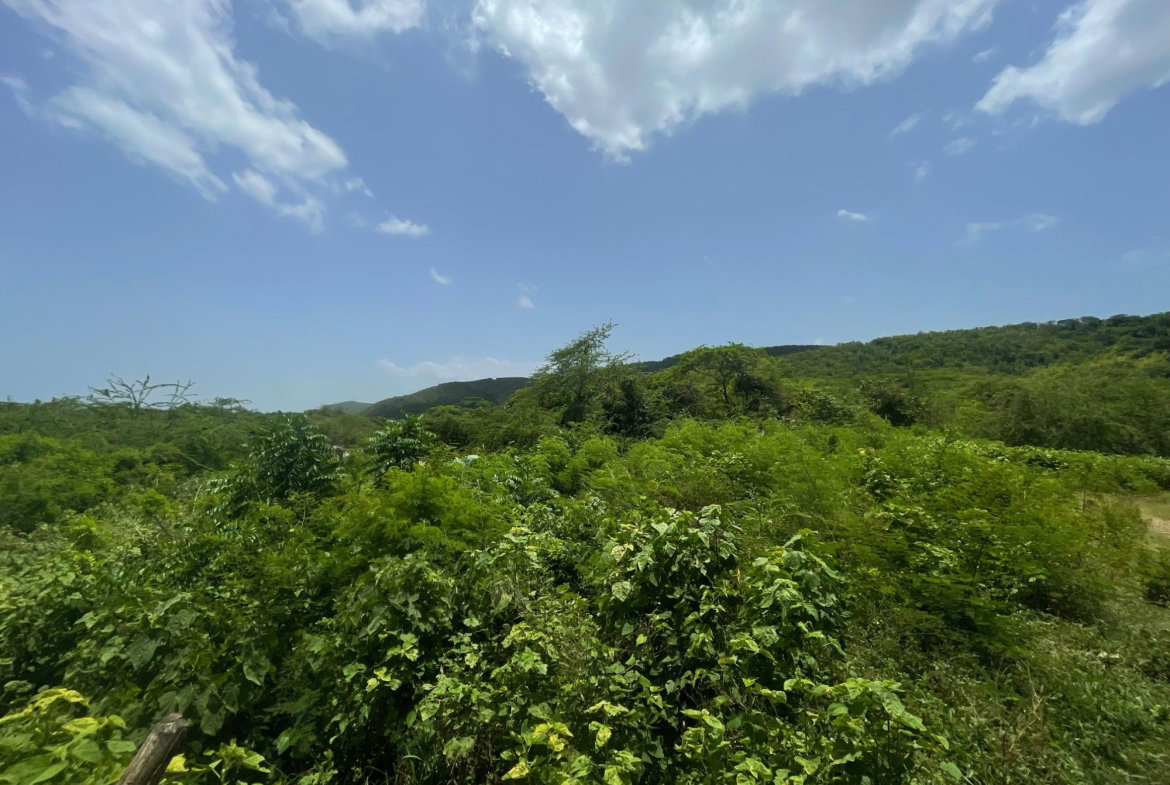 Eleventh image of Lot 9-part of Albion in Albion, St. Thomas, Jamaica - property is For Sale