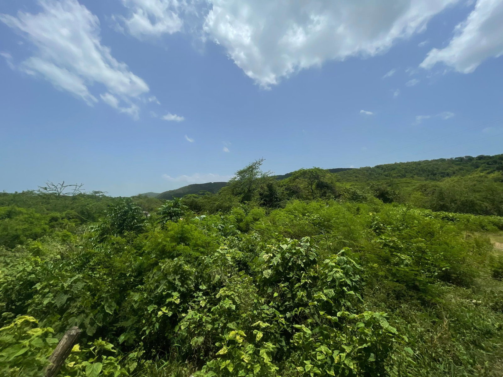 Eleventh image of Lot 9-part of Albion in Albion, St. Thomas, Jamaica - property is For Sale