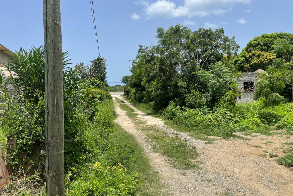 Twelfth image of Lot 9-part of Albion in Albion, St. Thomas, Jamaica - property is For Sale
