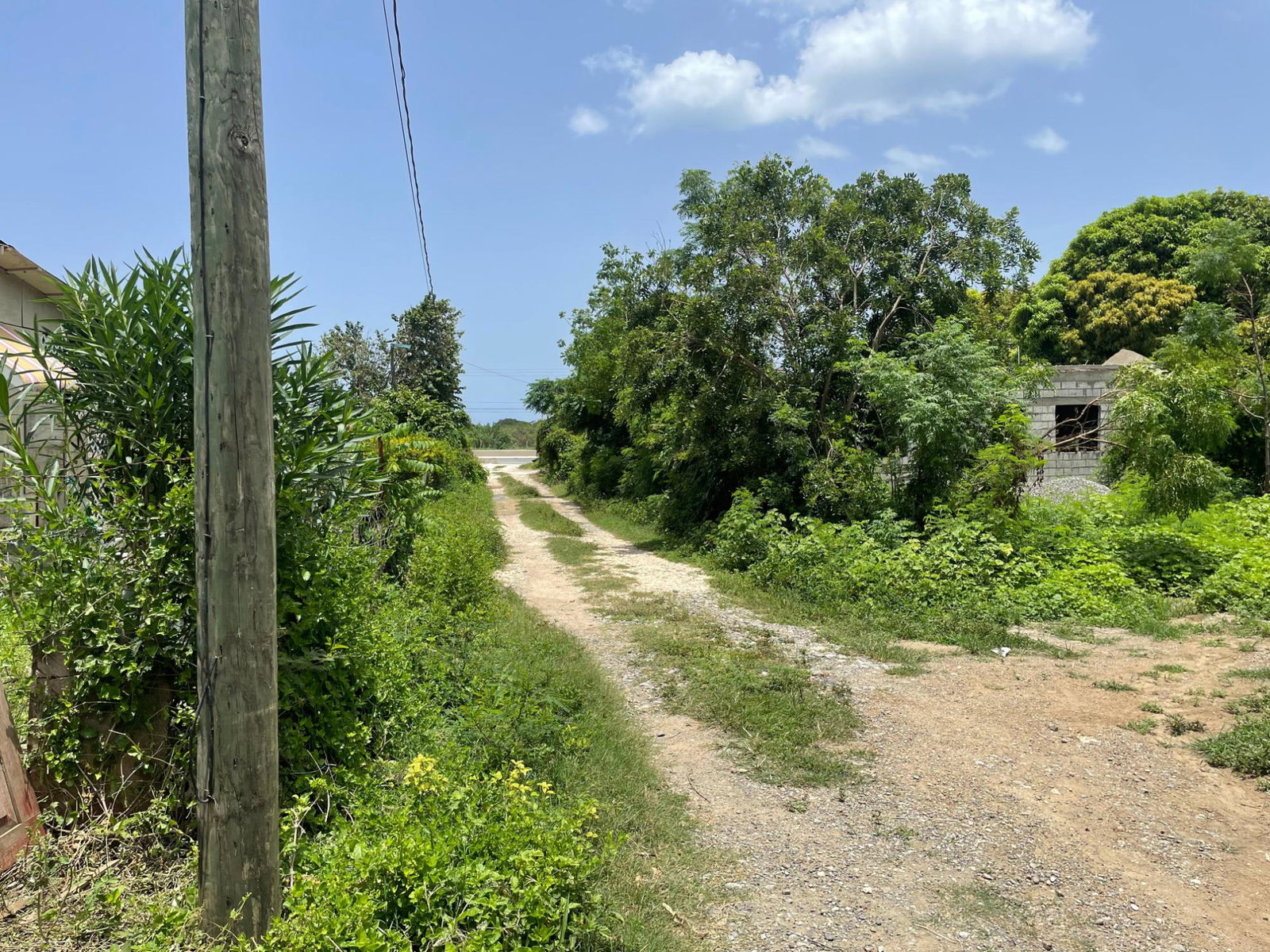 Twelfth image of Lot 9-part of Albion in Albion, St. Thomas, Jamaica - property is For Sale
