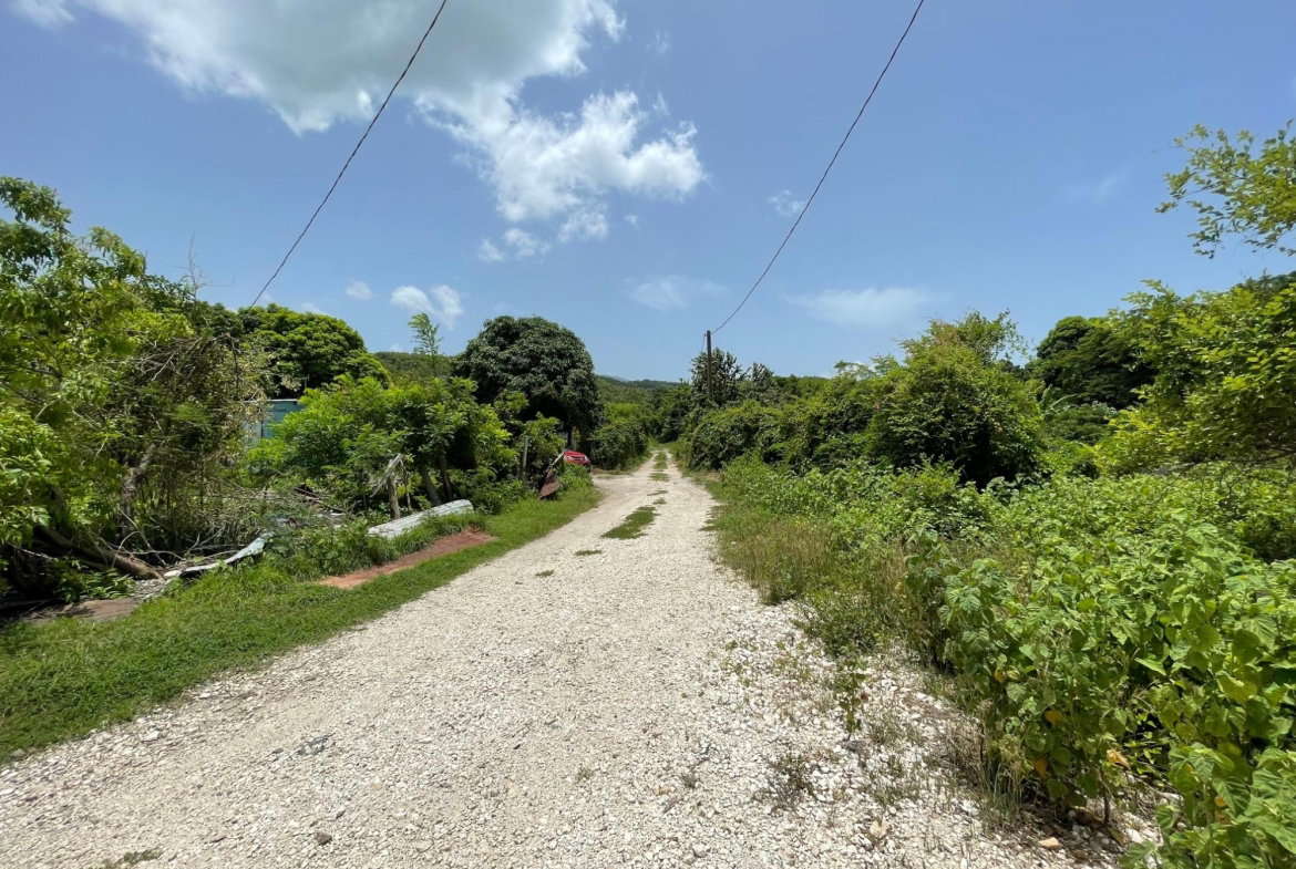 Thirteenth image of Lot 9-part of Albion in Albion, St. Thomas, Jamaica - property is For Sale