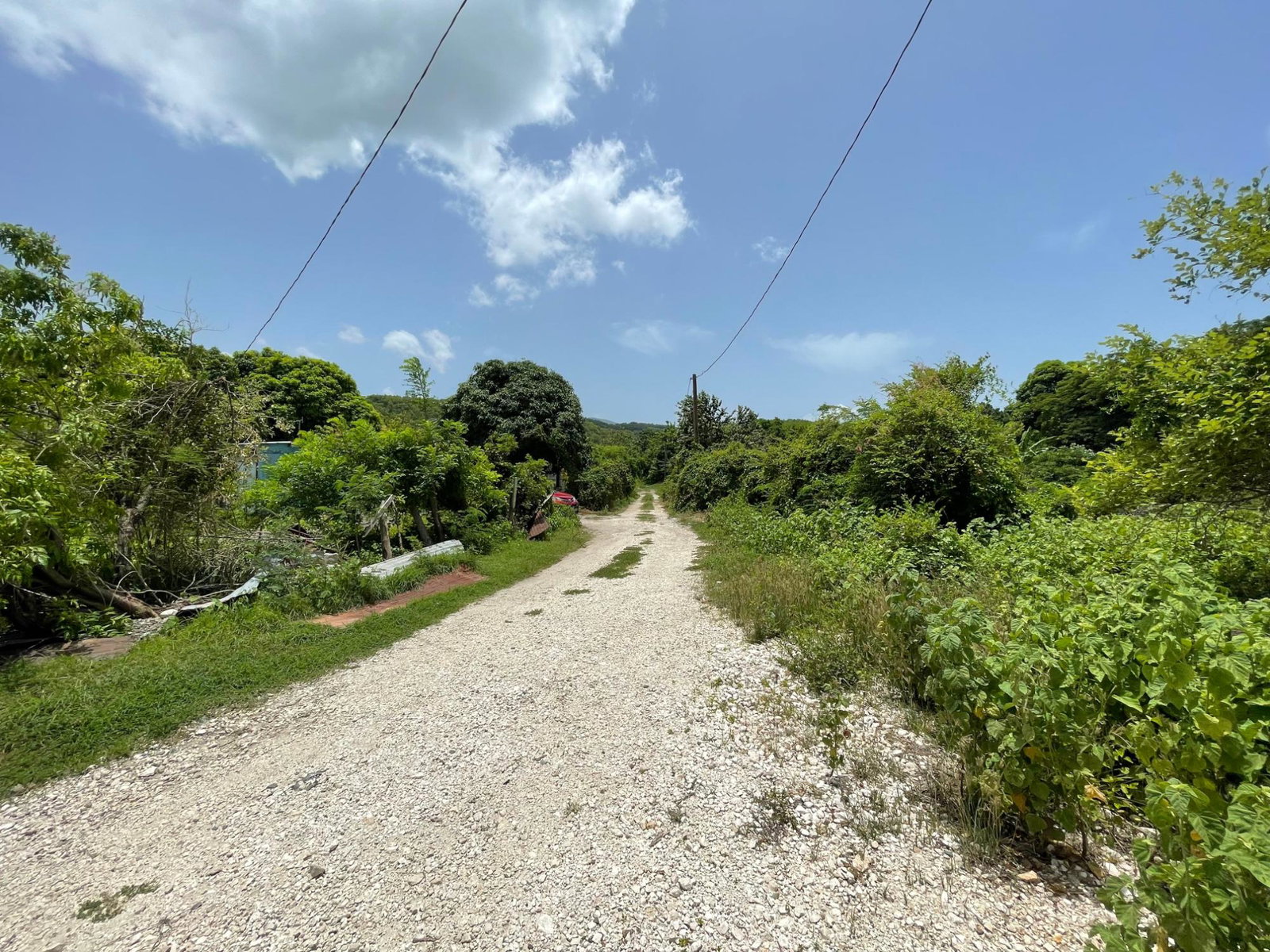 Thirteenth image of Lot 9-part of Albion in Albion, St. Thomas, Jamaica - property is For Sale