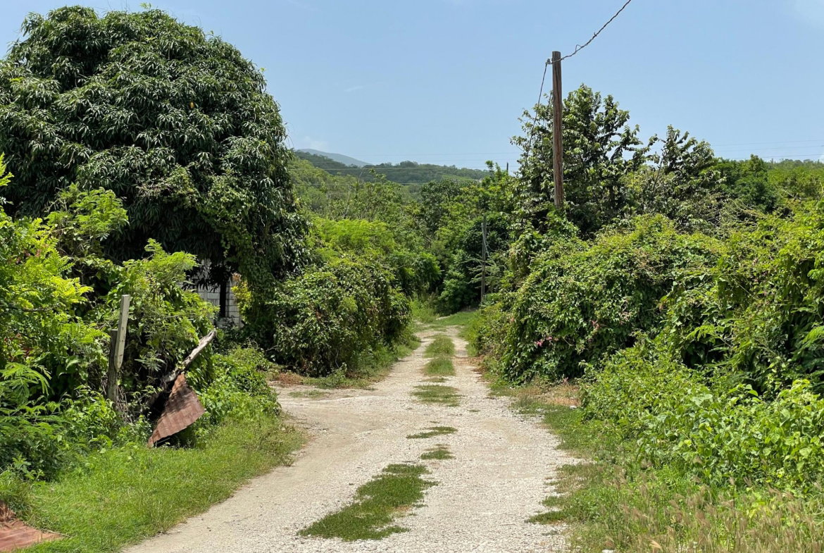 Fourteenth image of Lot 9-part of Albion in Albion, St. Thomas, Jamaica - property is For Sale