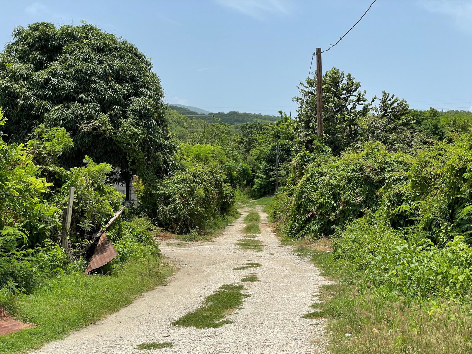 Fourteenth image of Lot 9-part of Albion in Albion, St. Thomas, Jamaica - property is For Sale