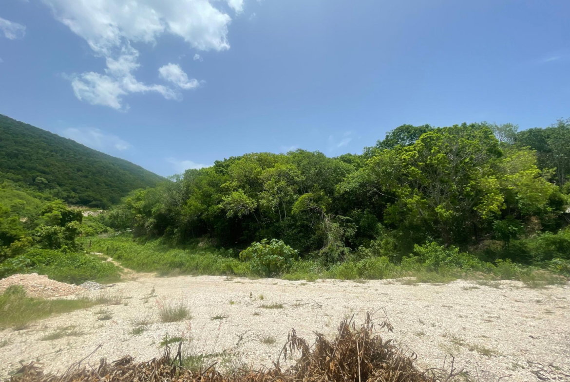 Fifth image of Lot 9-part of Albion in Albion, St. Thomas, Jamaica - property is For Sale