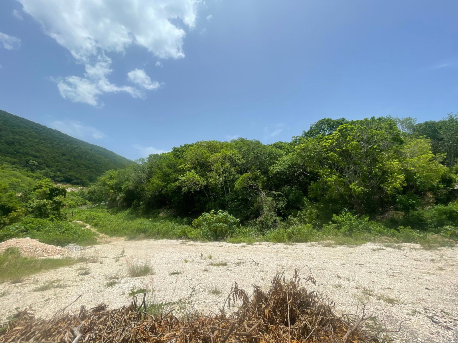 Fifth image of Lot 9-part of Albion in Albion, St. Thomas, Jamaica - property is For Sale