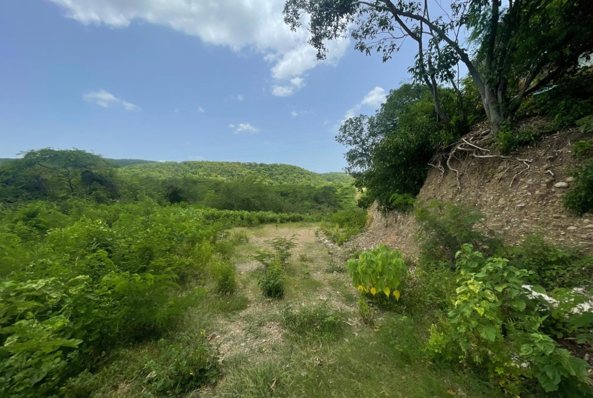 Sixth image of Lot 9-part of Albion in Albion, St. Thomas, Jamaica - property is For Sale