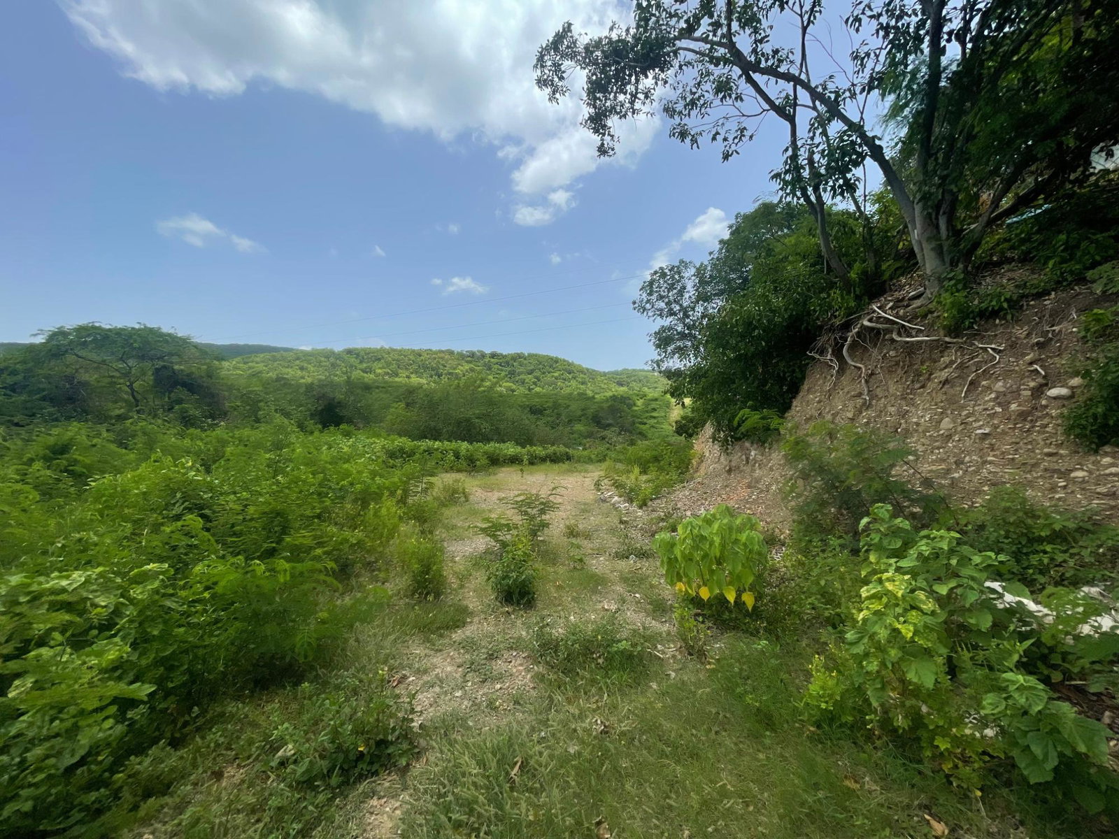 Sixth image of Lot 9-part of Albion in Albion, St. Thomas, Jamaica - property is For Sale