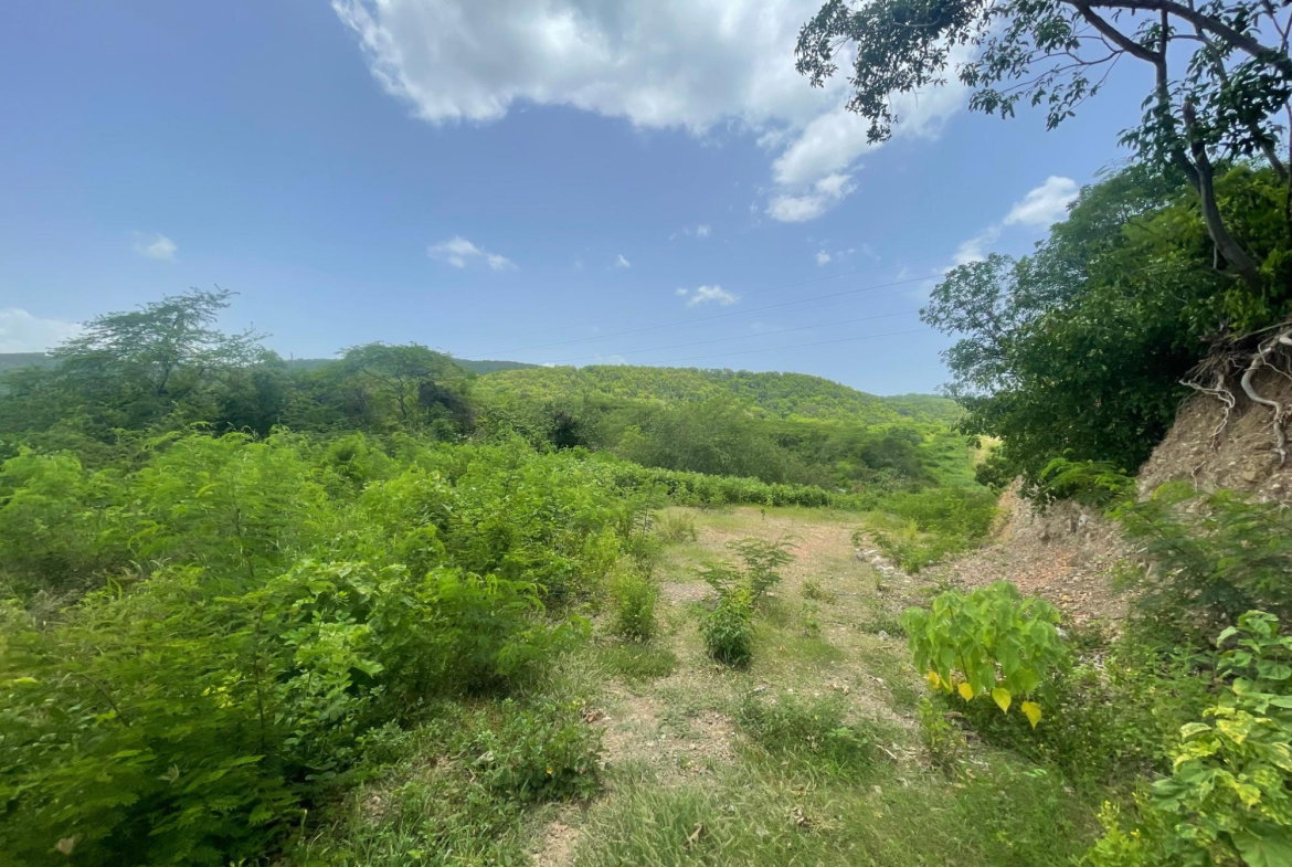 Seventh image of Lot 9-part of Albion in Albion, St. Thomas, Jamaica - property is For Sale