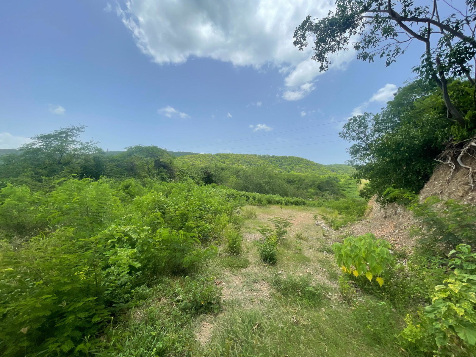 Seventh image of Lot 9-part of Albion in Albion, St. Thomas, Jamaica - property is For Sale