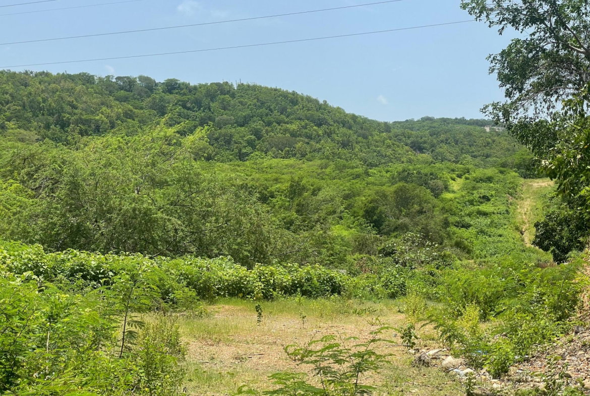 Eighth image of Lot 9-part of Albion in Albion, St. Thomas, Jamaica - property is For Sale