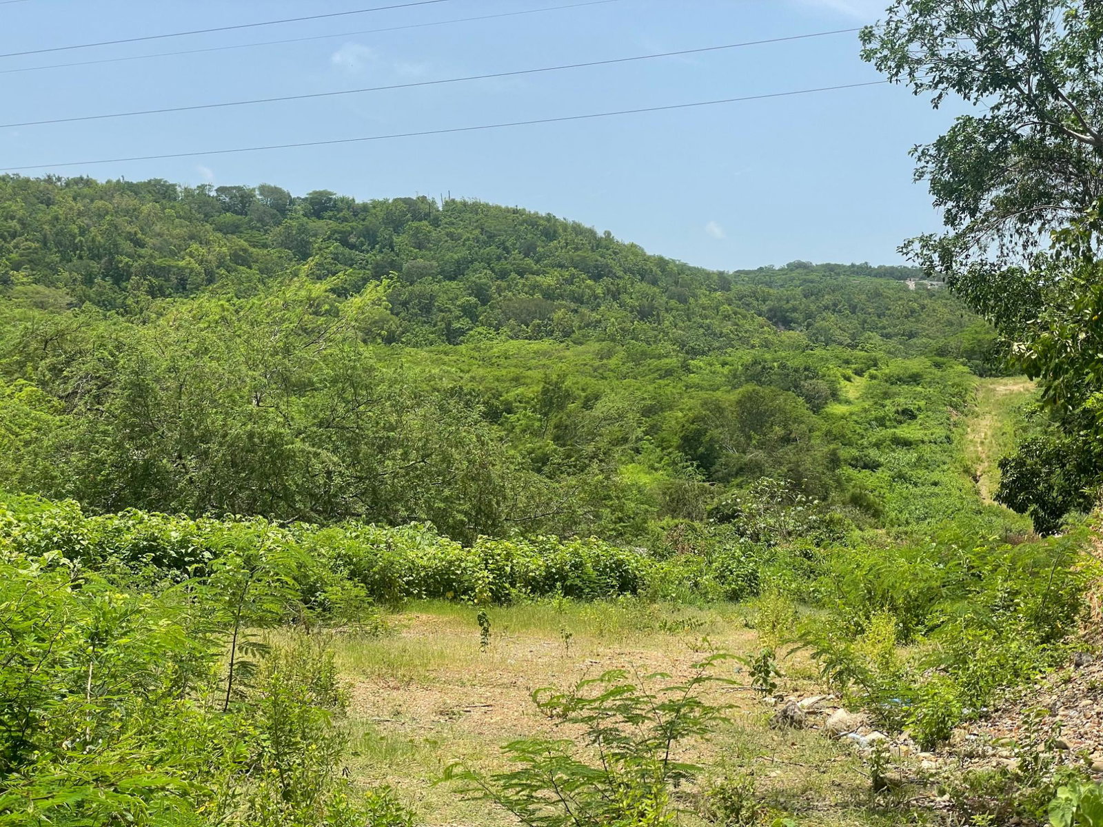 Eighth image of Lot 9-part of Albion in Albion, St. Thomas, Jamaica - property is For Sale