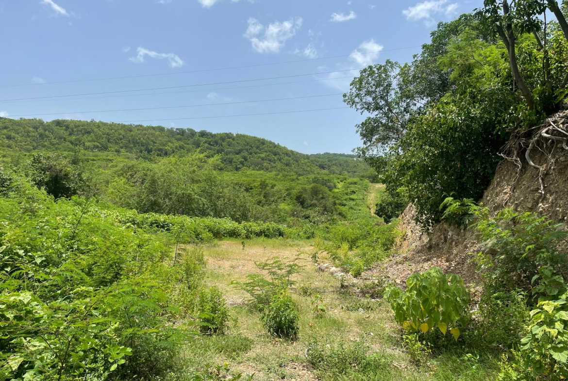 Ninth image of Lot 9-part of Albion in Albion, St. Thomas, Jamaica - property is For Sale