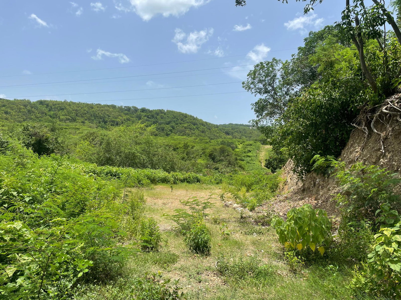 Ninth image of Lot 9-part of Albion in Albion, St. Thomas, Jamaica - property is For Sale