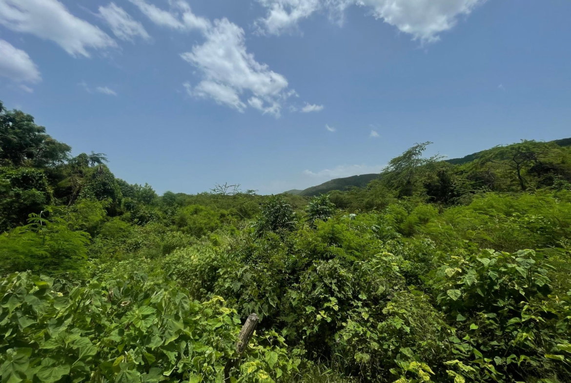 Tenth image of Lot 9-part of Albion in Albion, St. Thomas, Jamaica - property is For Sale