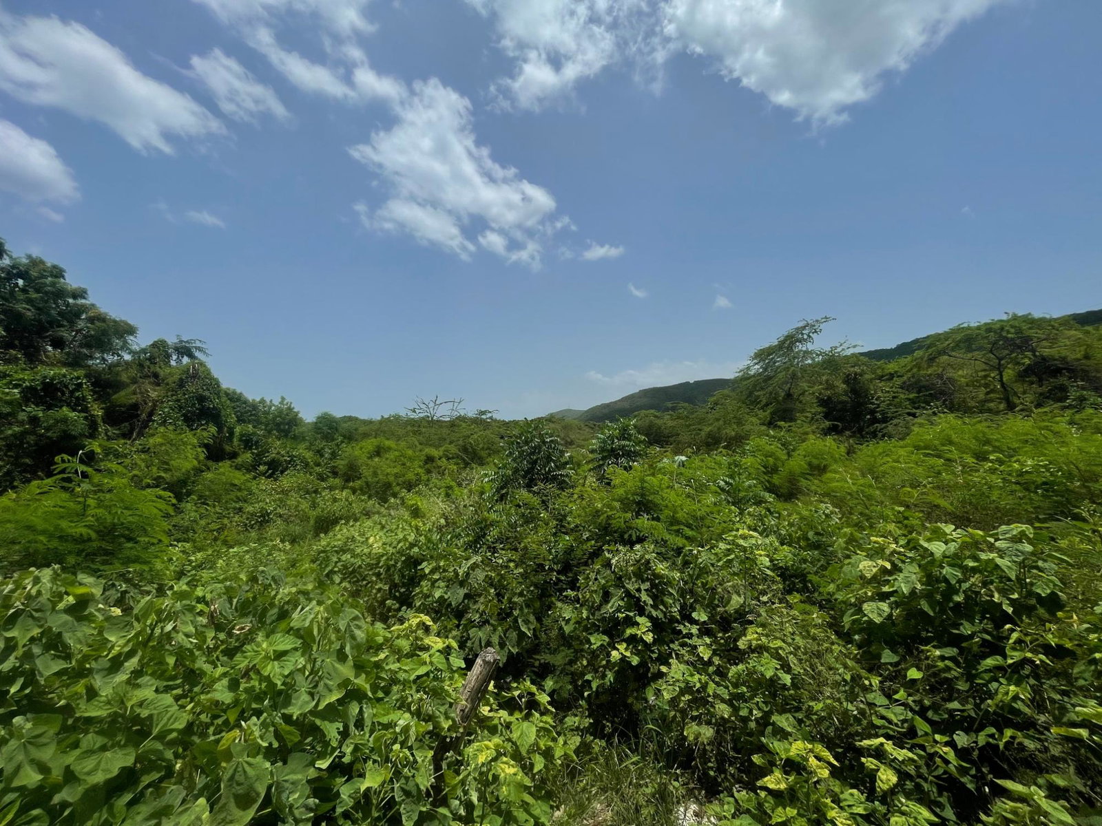 Tenth image of Lot 9-part of Albion in Albion, St. Thomas, Jamaica - property is For Sale