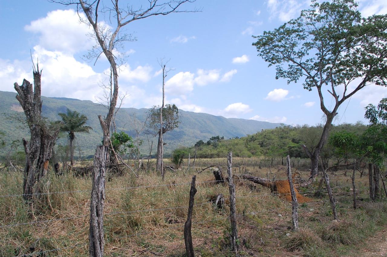 Third image of 14 Bogue, Saint Elizabeth in Elim, St. Elizabeth, Jamaica - property is For Sale