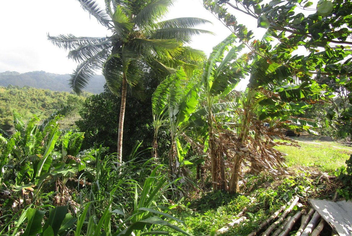 Twelfth image of 1 Glengoffe Main Road in Glengoffe, St. Catherine, Jamaica - property is For Sale