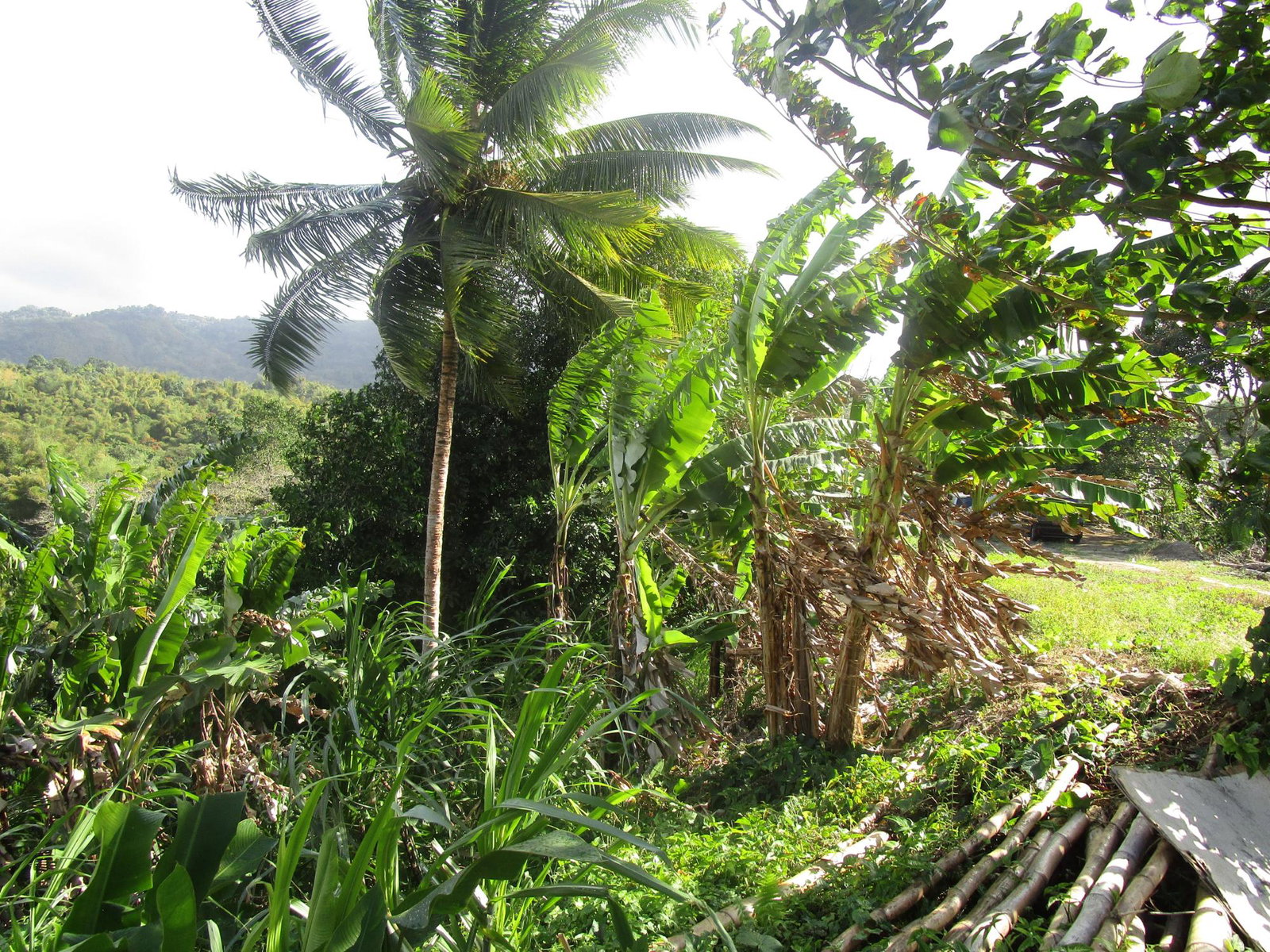 Twelfth image of 1 Glengoffe Main Road in Glengoffe, St. Catherine, Jamaica - property is For Sale