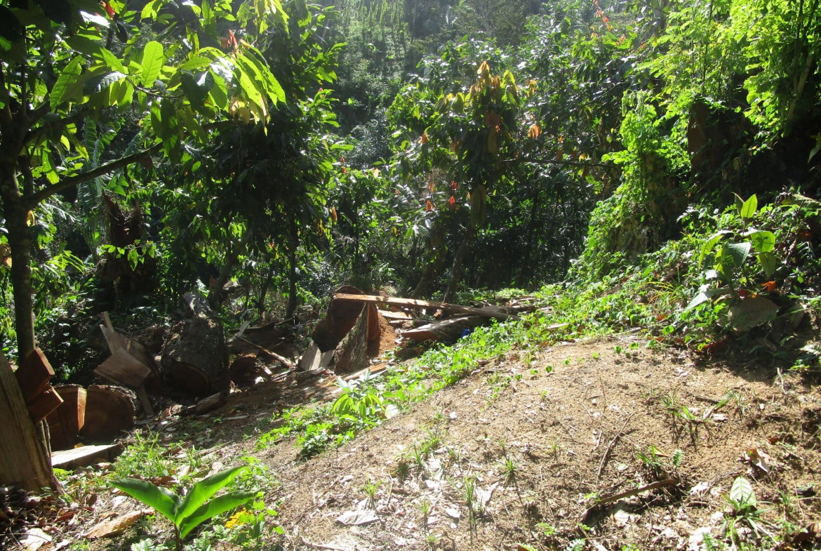 Fourth image of 1 Glengoffe Main Road in Glengoffe, St. Catherine, Jamaica - property is For Sale
